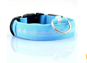 Safety Collar with LED Lights