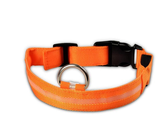 Safety Collar with LED Lights