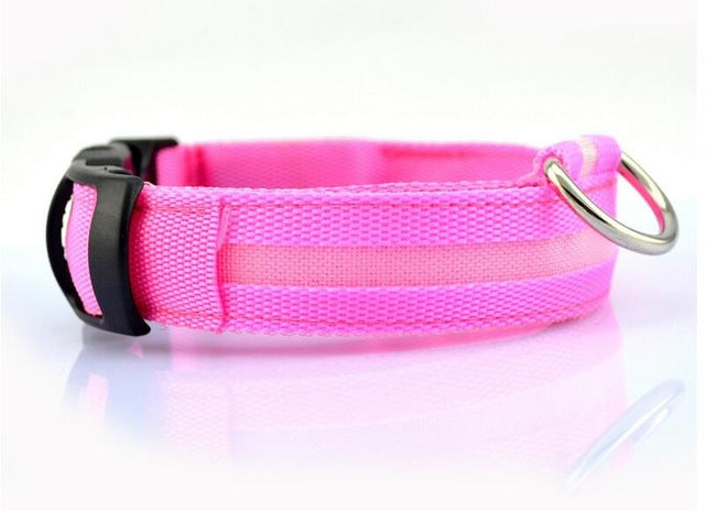 Safety Collar with LED Lights