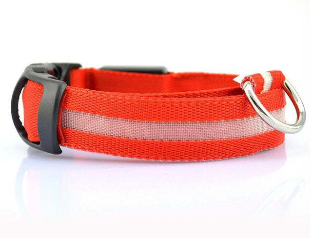 Safety Collar with LED Lights