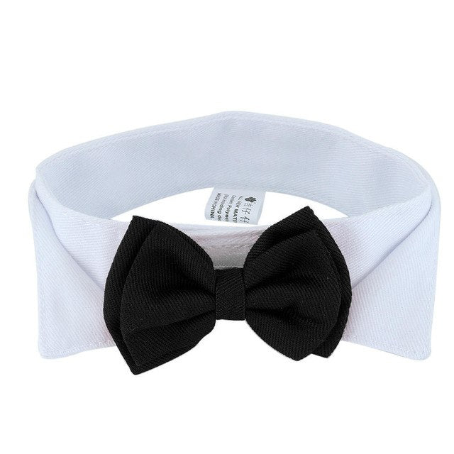 Small Dog or Cat Bow Tie Collar