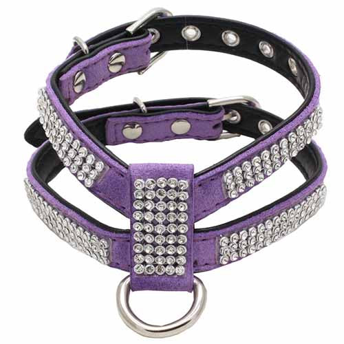 Jeweled Harness for Cat or Small Dog