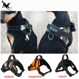 Heavy Duty Harness in Various Styles