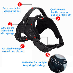 Heavy Duty Harness in Various Styles