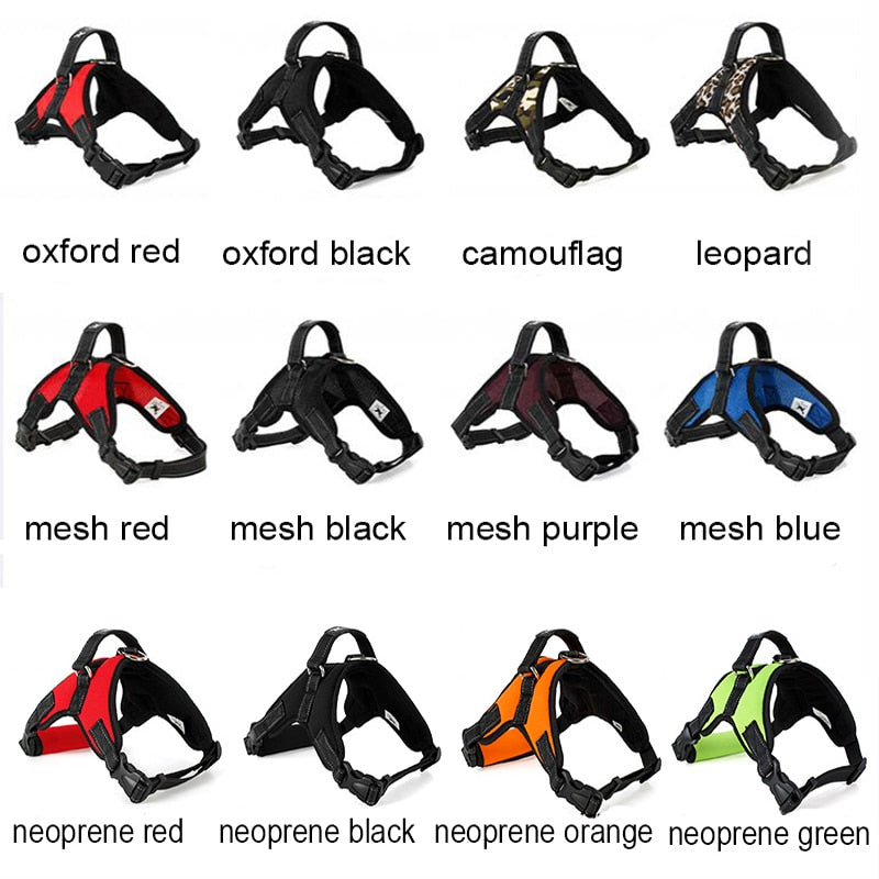 Heavy Duty Harness in Various Styles