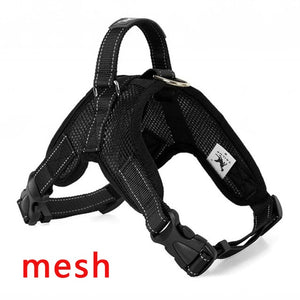 Heavy Duty Harness in Various Styles