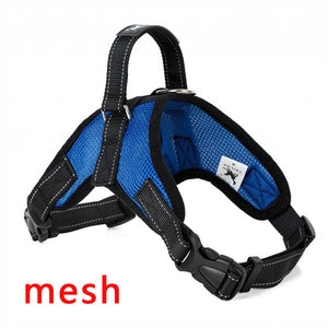 Heavy Duty Harness in Various Styles