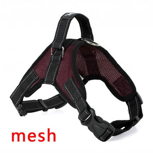 Heavy Duty Harness in Various Styles