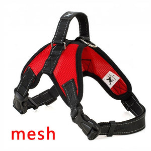 Heavy Duty Harness in Various Styles