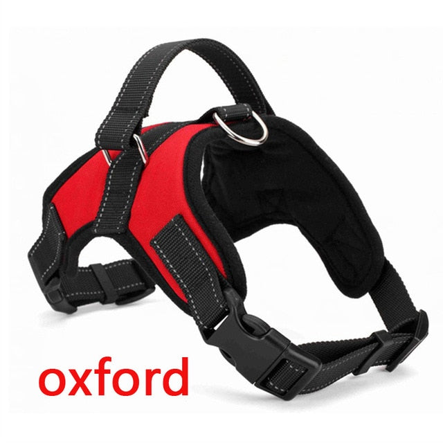 Heavy Duty Harness in Various Styles