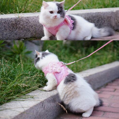Angel Wing Cat Harness with Leash