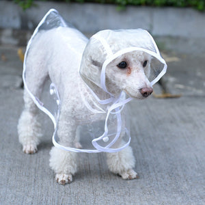 Clear Raincoat for Dogs with Colored Trim