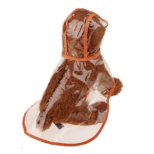 Clear Raincoat for Dogs with Colored Trim