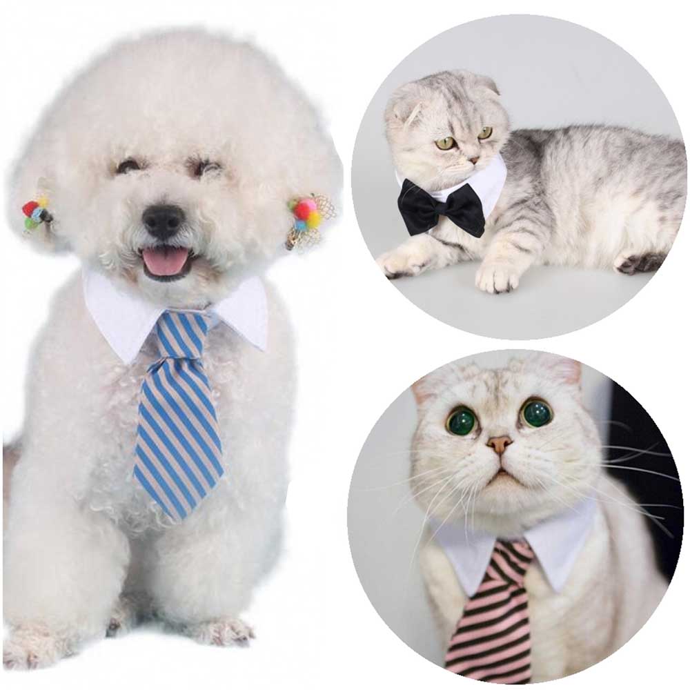 Various Bow Tie and Tie Dog and Cat Collars
