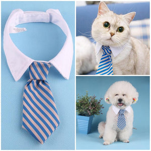 Various Bow Tie and Tie Dog and Cat Collars