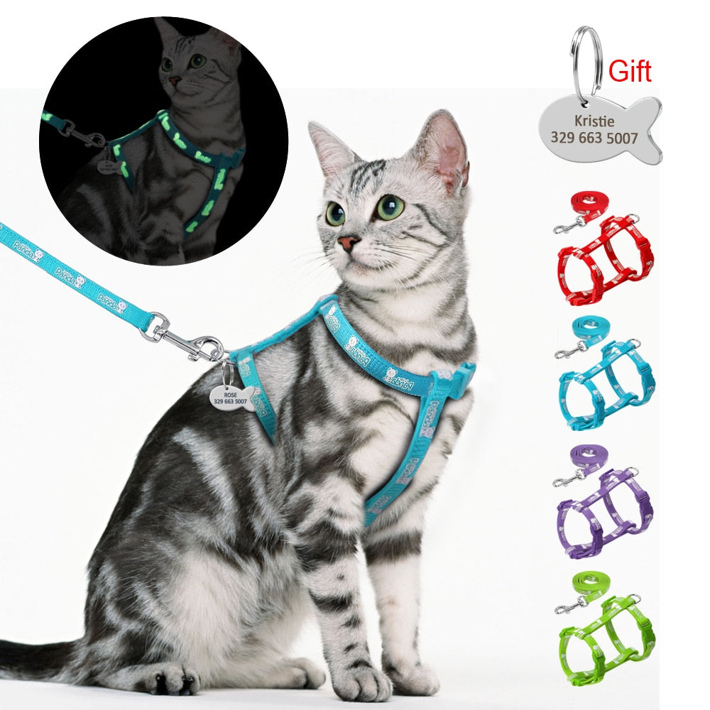 Glow in the Dark Cat Harness and Leash Set With Engrave-able Tag