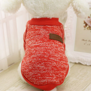 Adorable Worn Sweaters for Cats or Dogs