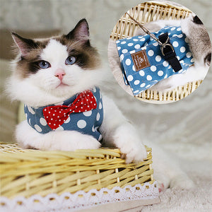 Stylish Cat Harness with Set