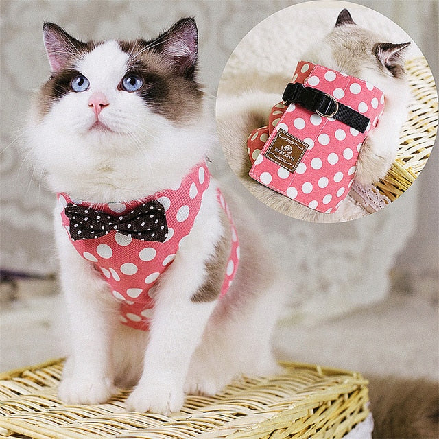 Stylish Cat Harness with Set