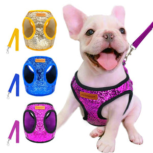 Sequin Cat Harness and Leash Set