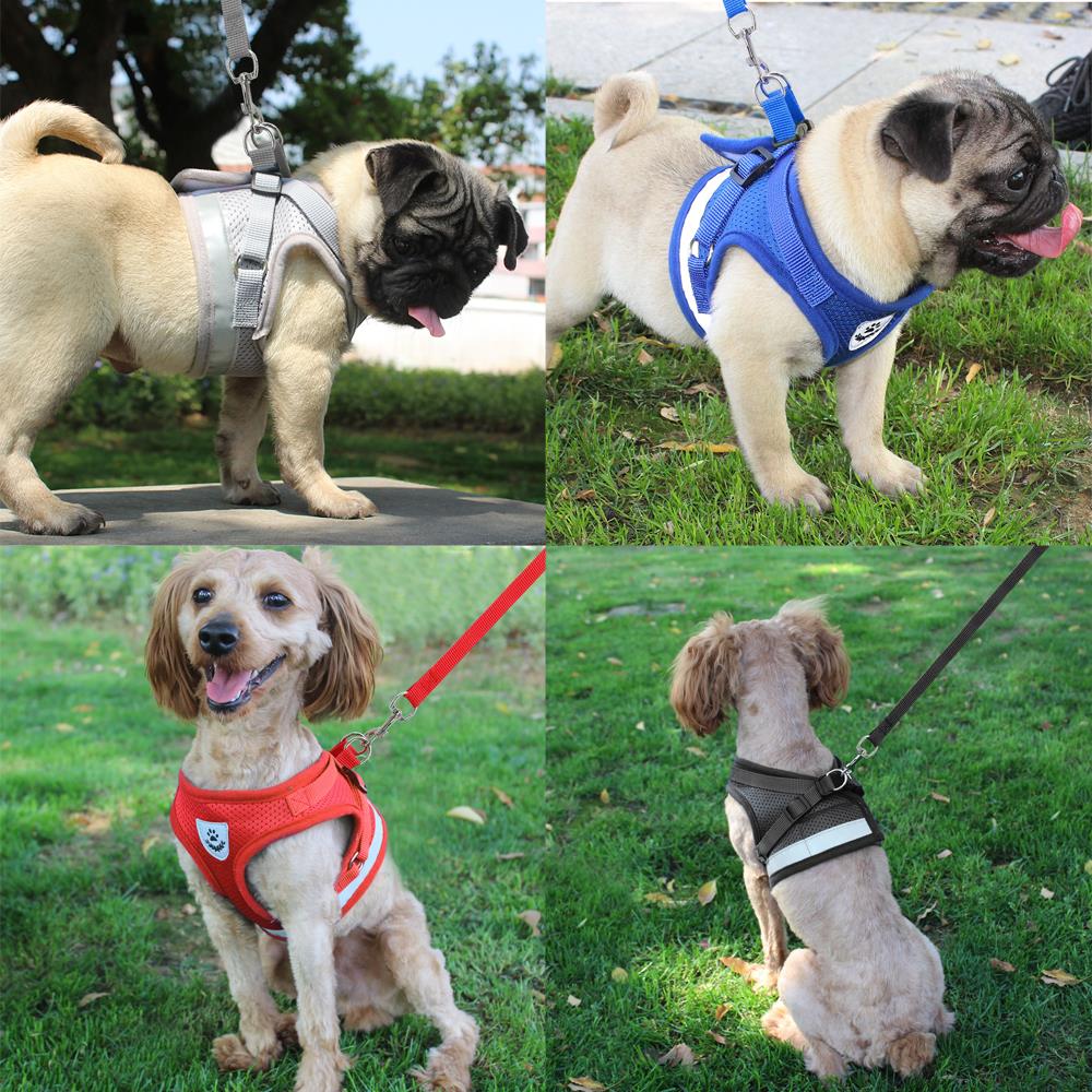 Durable Mesh and Nylon Dog Harness