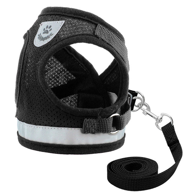 Durable Mesh and Nylon Dog Harness