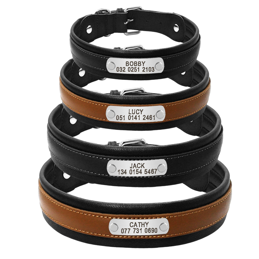 Personalized Leather Dog Collar for Medium to Large Dogs