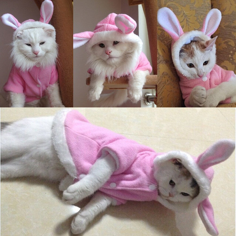 Bunny Sweater for Small Dog or Cat