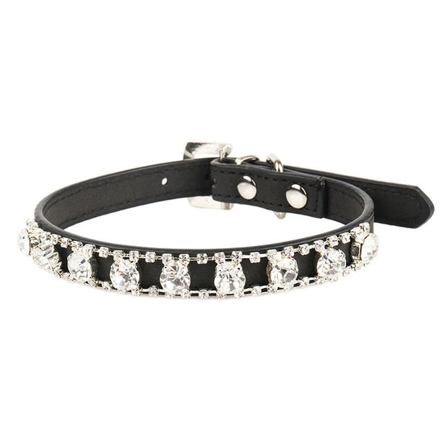 Jeweled Collars for Small Dogs and Cats