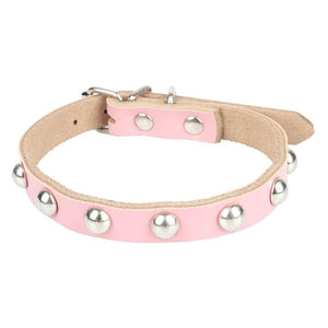 Bedazzled Cat and Dog Collars