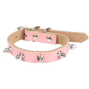 Bedazzled Cat and Dog Collars
