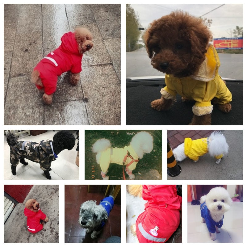Stylish Rain Coat for Dogs