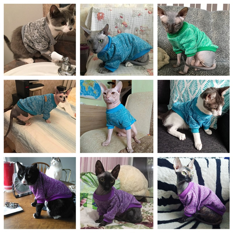 Adorable Worn Sweaters for Cats or Dogs