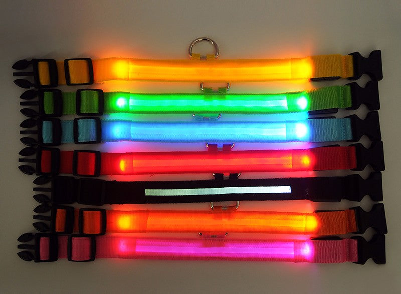 Safety Collar with LED Lights