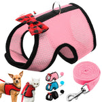 Mesh Harness and Leash for Small Dog or Cat