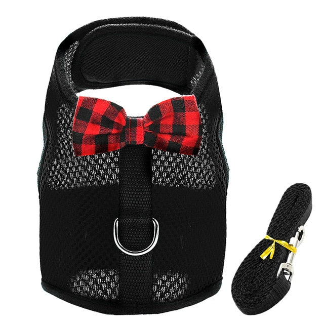 Mesh Harness and Leash for Small Dog or Cat