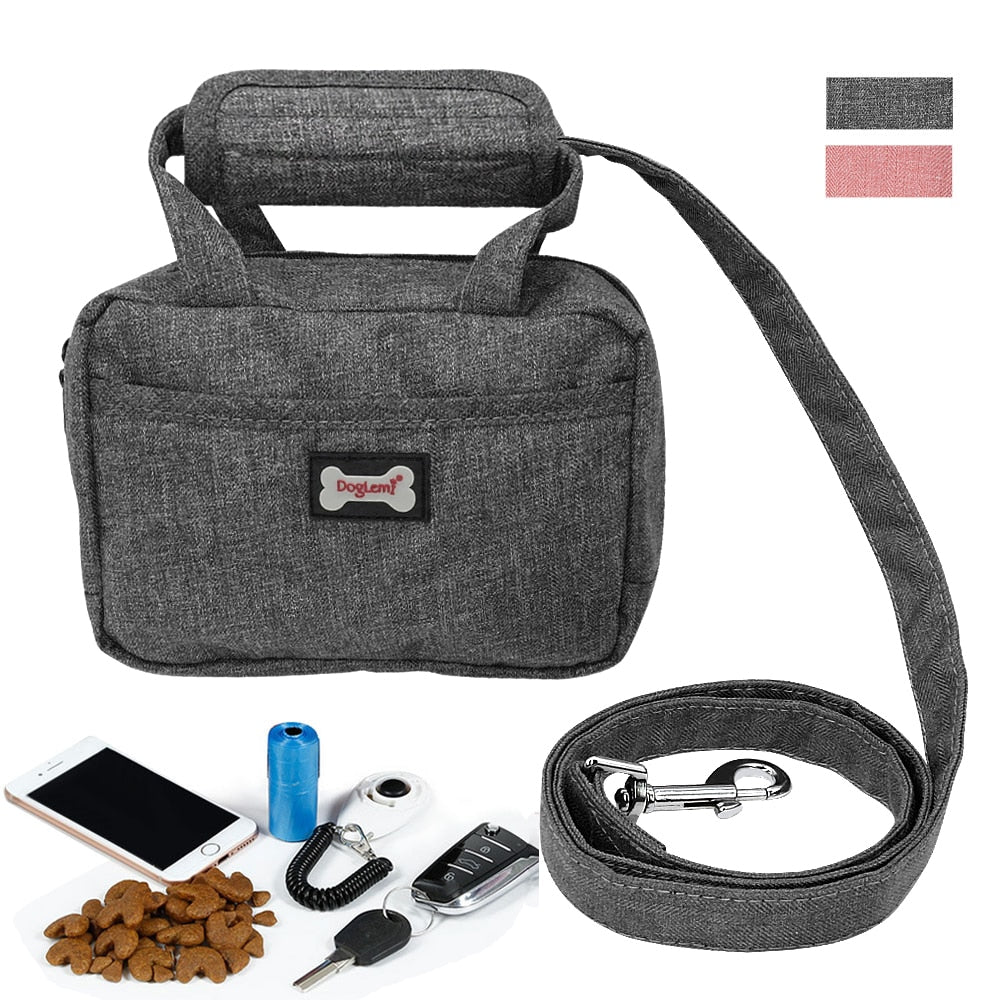 Dog Training Pouch with Key