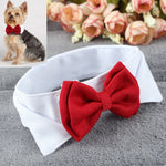 Small Dog or Cat Bow Tie Collar