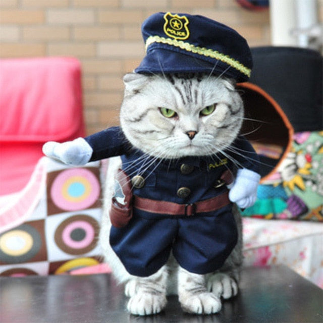 Various Cat Costumes