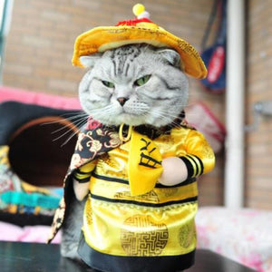 Various Cat Costumes