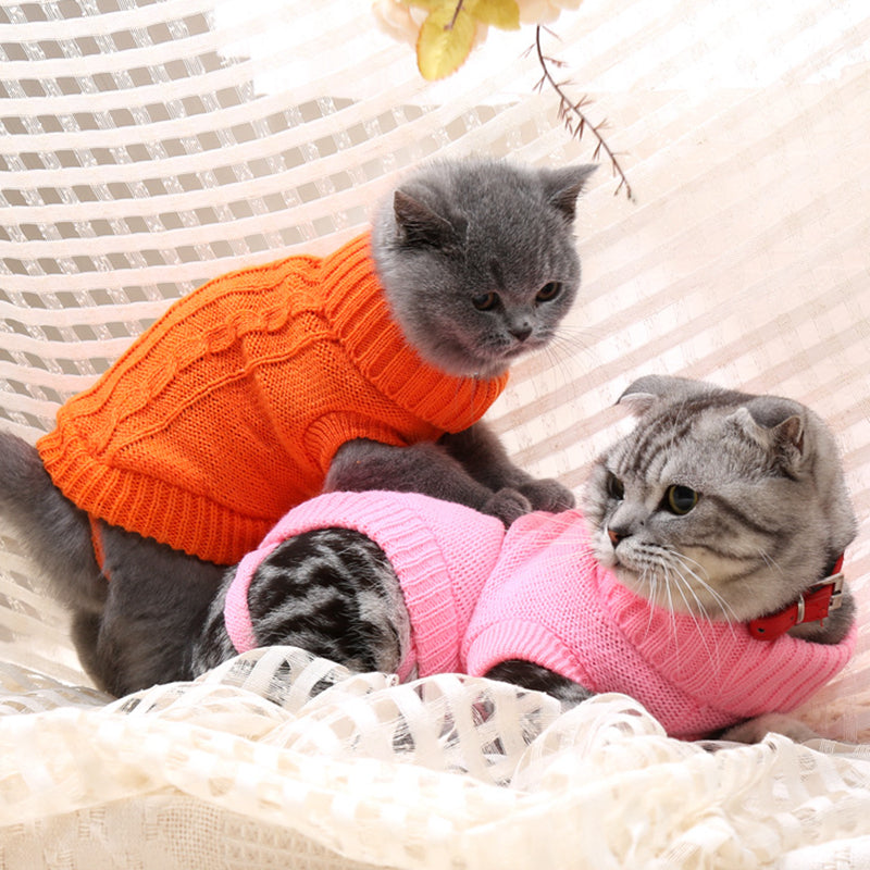 Cat and Dog Sweaters in Tons of Colors