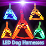 Safety LED Harness